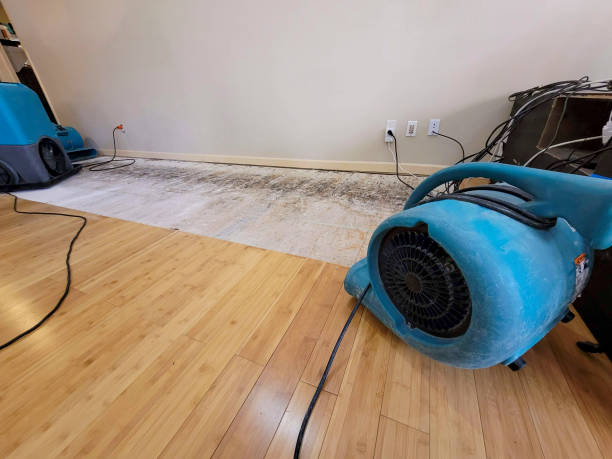 Professional Basement Flood Cleanup technician working in Youngstown, OH